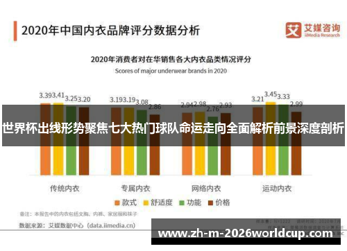 世界杯出线形势聚焦七大热门球队命运走向全面解析前景深度剖析